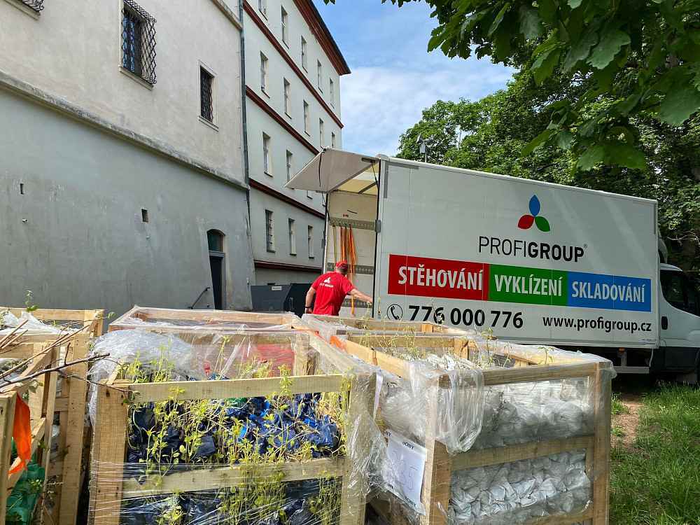 Stromky Profigroup - Svatá Hora 